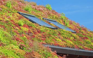 Yetminster living roof systems