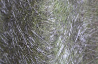 Yetminster fibreglass roof work